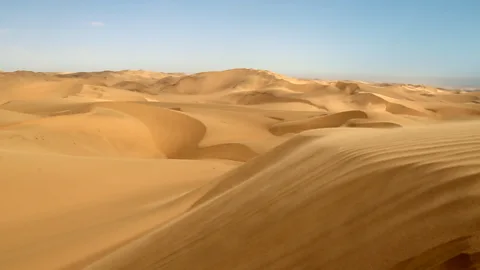 A mystery in the world's oldest desert