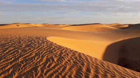 Alastair Gill Riding in the freight cars is an extreme endeavor, as temperatures in the Sahara can reach well over 40C (Credit: Alastair Gill)