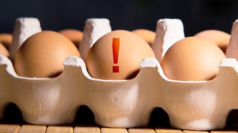 A box of eggs with one exclamation mark painted on one 