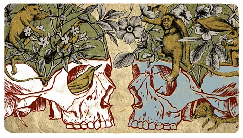 Emmanuel Lafont Neurodiversity was coined to describe the variety of human brains - in much the same way that biodiversity describes the variation of life on Earth (Credit: Emmanuel Lafont)