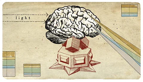Emmanuel Lafont Any individual's traits will fall on a vast spectrum, with no clear dividing lines between what is "normal" and what is "abnormal" (Credit: Emmanuel Lafont)