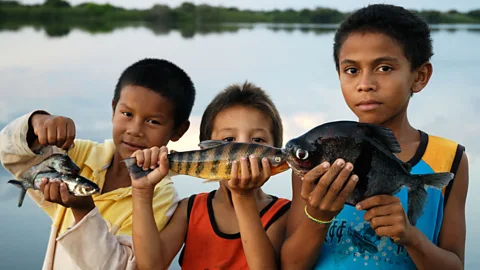 Brazil: The last frontier of gastronomy?