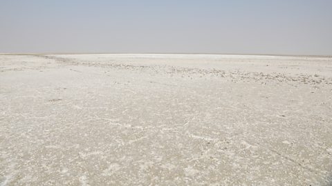 Great rann of Kutch - Largest White Salt Deserts