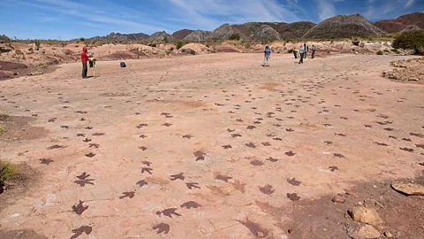 Dave Stamboulis More than 3,500 dinosaur footprints have been discovered at Torotoro