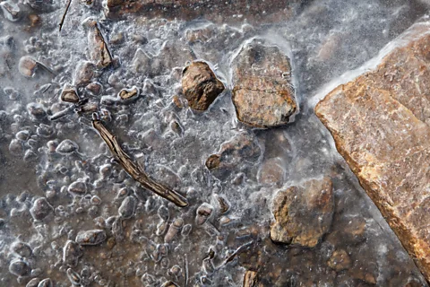 Matt Stirn An ancient piece of wood emerges from a thawing ice patch in the Wyoming mountains (Credit: Matt Stirn)
