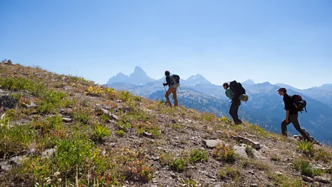 Matt Stirn A team of alpine archaeologists hikes towards base camp in the Teton Range, Wyoming (Credit: Matt Stirn)