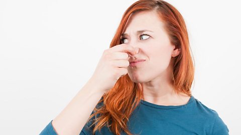A woman pinching her nose from the smell.