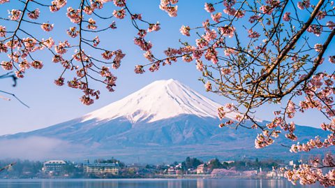 Mount Fuji