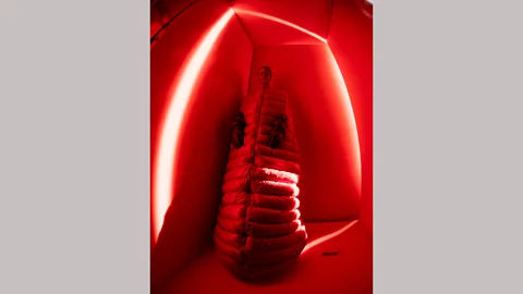 An image from the Illuminations series, inspired by the stained-glass panel (Tim Walker Studio)