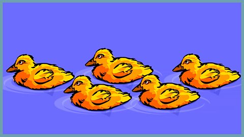 Five little ducks