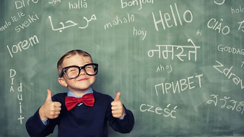 How much do you know about European languages?