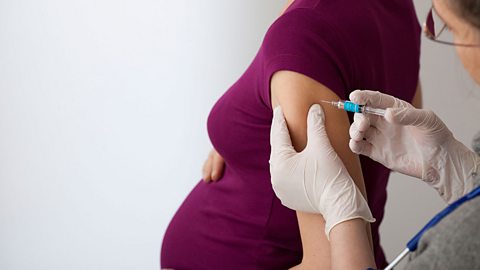 Pregnant woman having the flu jab