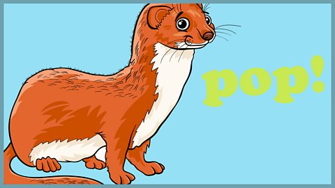 Pop goes the weasel