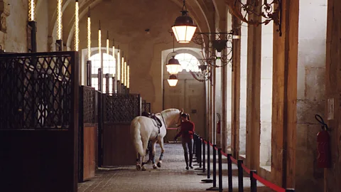 Hemis/Alamy La Grande Écurie once housed more than 2,000 horses (Credit: Hemis/Alamy)