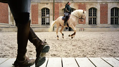 Hemis/Alamy The uniquely French style of horse riding became the common basis of most equitation schools across Europe (Credit: Hemis/Alamy)