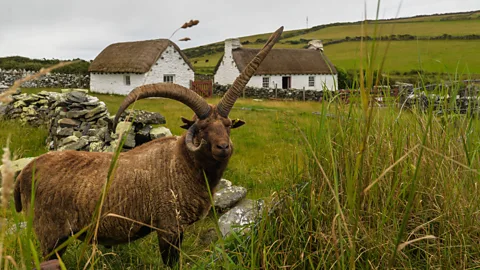 Olivier Guiberteau The Isle of Man feels British in a cosy, old-fashioned way that’s only occasionally found in the UK today (Credit: Olivier Guiberteau)