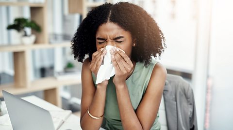 Girl sneezing into tissue