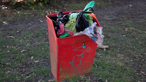 A dog poo bin filled with plastic bags