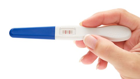 Quiz - Take the pregnancy test!