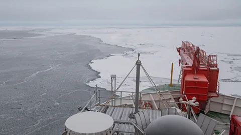 Esther Horvath/AWI The edges of the "fortress" ice floe seem thin and waterlogged but in the distance the ice rises up and becomes thicker (Credit: Esther Horvath/AWI)