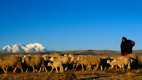 Eye Ubiquitous/Universal Images Group/Getty Images For Bolivian chefs, the Amazon, Altiplano and Andes provide a smorgasbord of unique ingredients (Credit: Eye Ubiquitous/Universal Images Group/Getty Images)