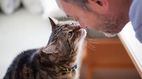 Why Your Cat Thinks You're an Idiot