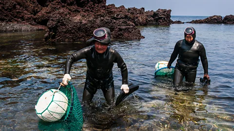 Michael Runkel/Alamy Haenyeo divers can descend more than 10m and hold their breath for minutes at a time (Credit: Michael Runkel/Alamy)