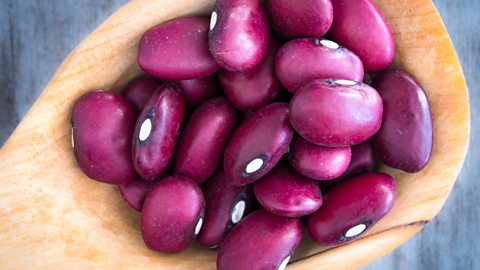 Kidney beans