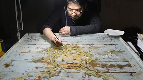 Riusuke Fukahori, Momochibune, 2018 (courtesy of the artist)