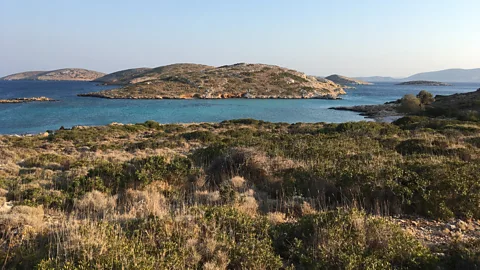 Cathryn Drake The island of Arkoi is a tranquil and bucolic Dodecanese gem (Credit: Cathryn Drake)