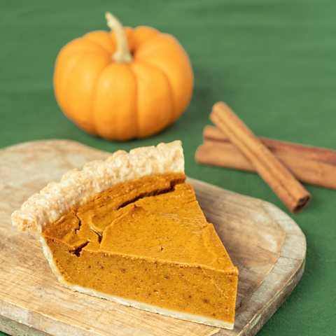 Slice of pumpkin pie