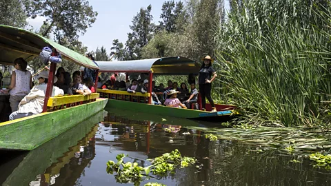 Megan Frye In Xochimilco's canals, many ride colourful wooden boats called trajineras (Credit: Megan Frye)