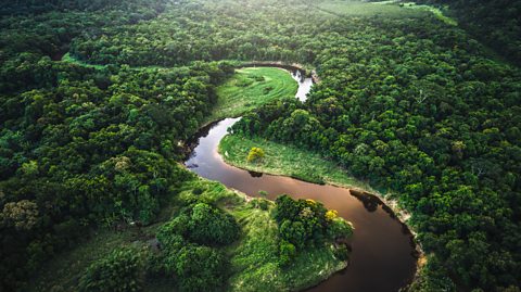 Aerial view of the amazon river and rainforest.