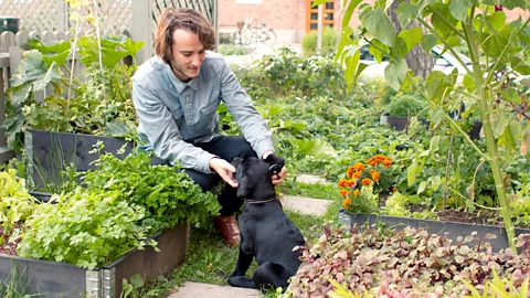 Johan Andersson According to Jordan Lane, courses like the Nordic urban planning programme help promote diversity in a field that has traditionally been homogenous (Credit: Johan Andersson)