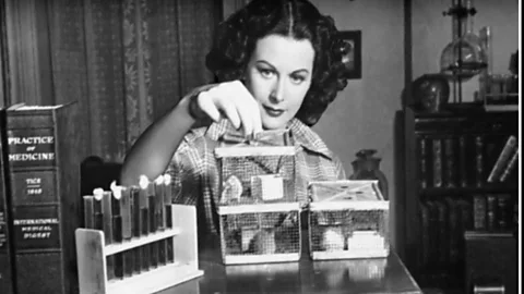 Alamy In addition to starring on the silver screen, Hedy Lamarr, a famous polymath, also co-developed a transmission method that has carried into today’s technologies (Credit: Alamy)