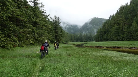 Lesley Evans Ogden Nutrients typically flow downstream but salmon on a breeding mission carry important nutrients to the upper reaches of river systems (Credit: Lesley Evans Ogden)