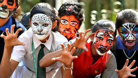 Getty Images Some fear that the work of conservation programmes like the Kids for Tigers campaign might be undone if man-eating tigers aren’t stopped (Credit: Getty Images)