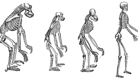 Alamy The sociologist Herbert Spencer applied Darwin’s theory of evolution to how societies change over time (Credit: Alamy)