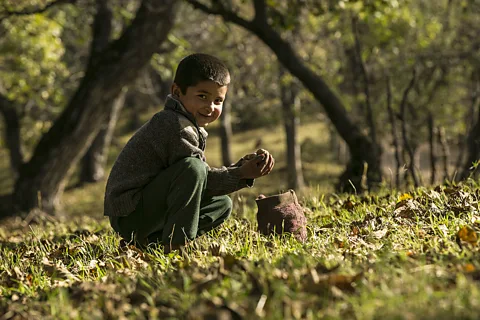 Mayank Soni During the harvest, young children help their families gather walnuts (Credit: Mayank Soni)