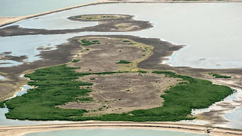 Bram van de Biezen/Getty Images Marker Wadden is a man-made archipelago of five islands in the Dutch province of Flevoland (Credit: Bram van de Biezen/Getty Images)