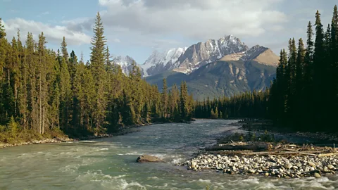 Getty Images (Credit: Getty Images)