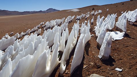 Ice penitentes in the desert.