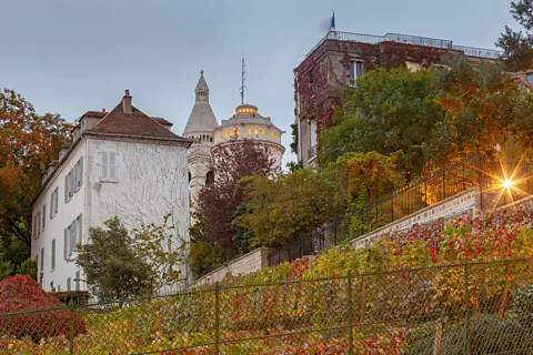 Pel_1071/Getty Images Today, Paris’ largest and most famous vineyard is the Clos Montmartre (Credit: Pel_1071/Getty Images)