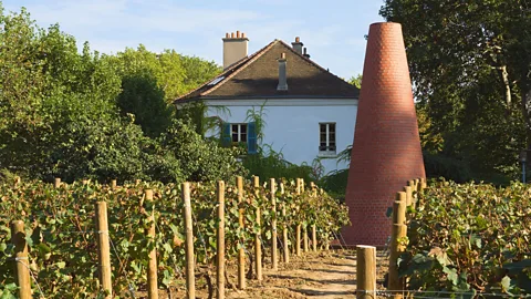 ErickN/Getty Images Located in the Parc de Bercy, the Clos de Bercy produces 350 bottles of Chardonnay and Sauvignon wine a year (Credit: ErickN/Getty Images)