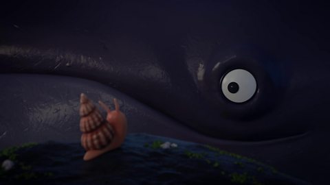 BBC One - The Snail and the Whale