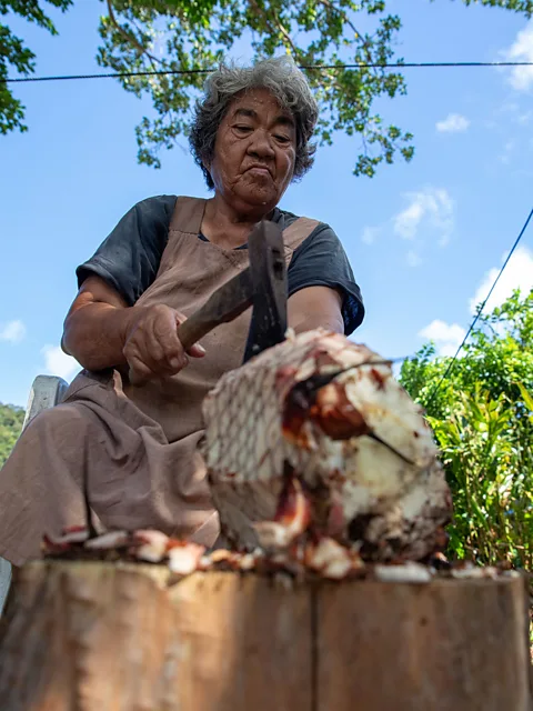 Jamie Lafferty In order to harvest poisonous cycads trees, you have to hack deep into the heart of its flesh (Credit: Jamie Lafferty)