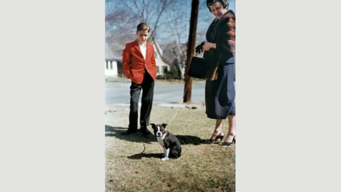 The Anonymous Project (Credit: The Anonymous Project)