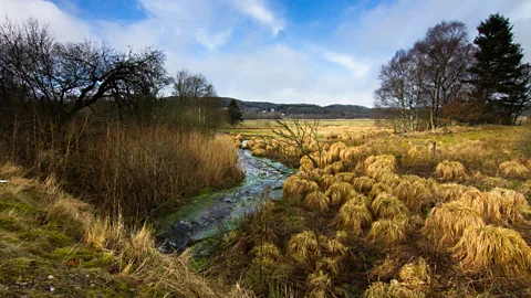 centre-back/Getty Images Today, the national park stands as a monument to Danes longing for "the adventure of "big America" (Credit: centre-back/Getty Images)