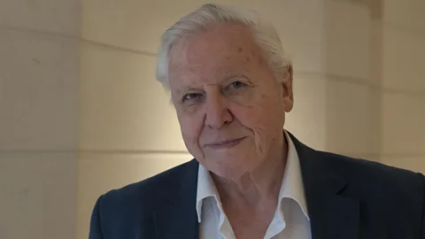 Alamy (Credit: Alamy)