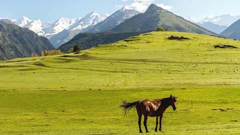 Vittoria/Alamy Some say khinkali originated in the rugged mountains to the north of Tbilisi (Credit: Vittoria/Alamy)